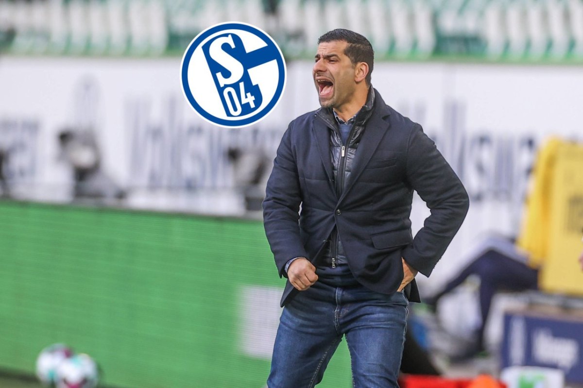 schalke-leverkusen-grammozis