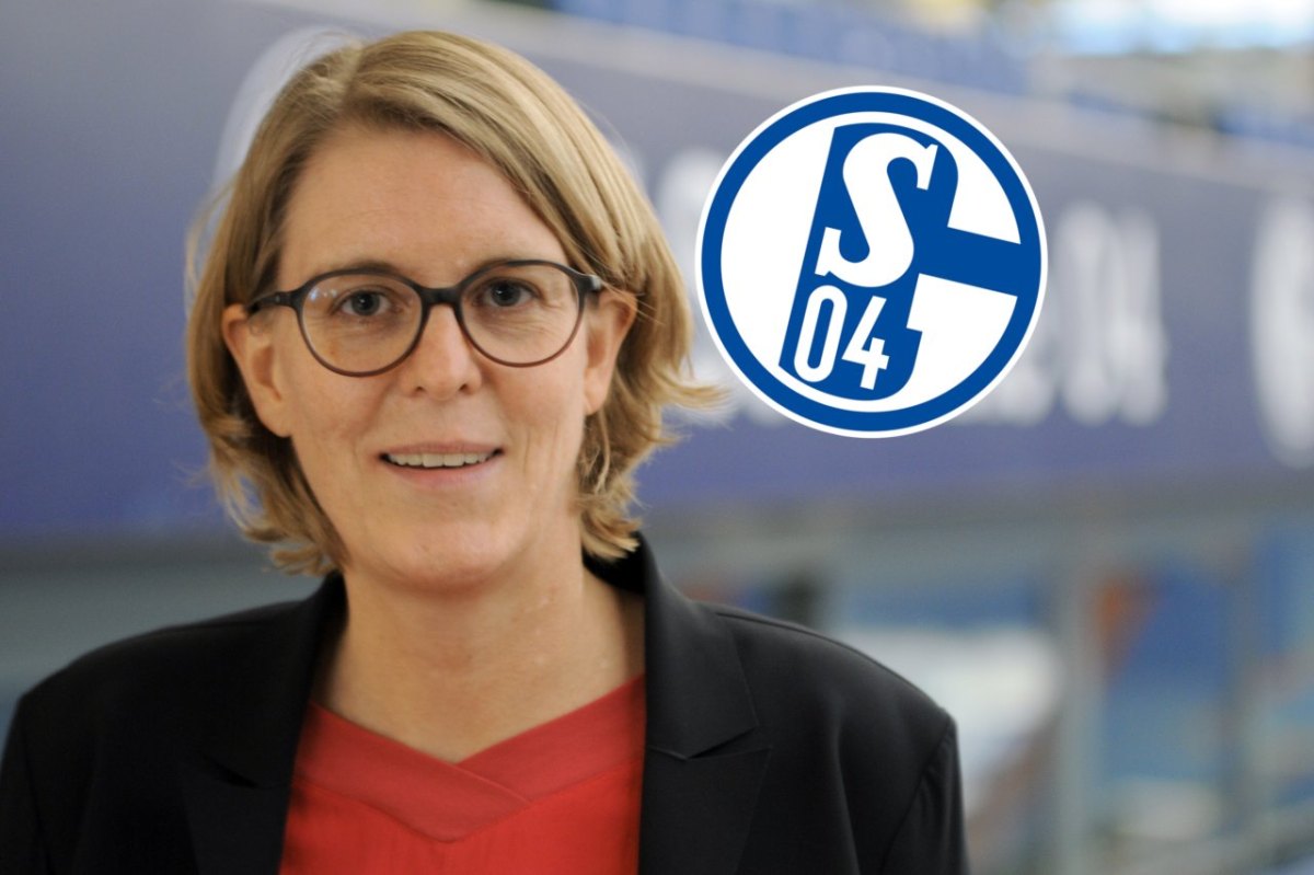 schalke-rühl-hamers