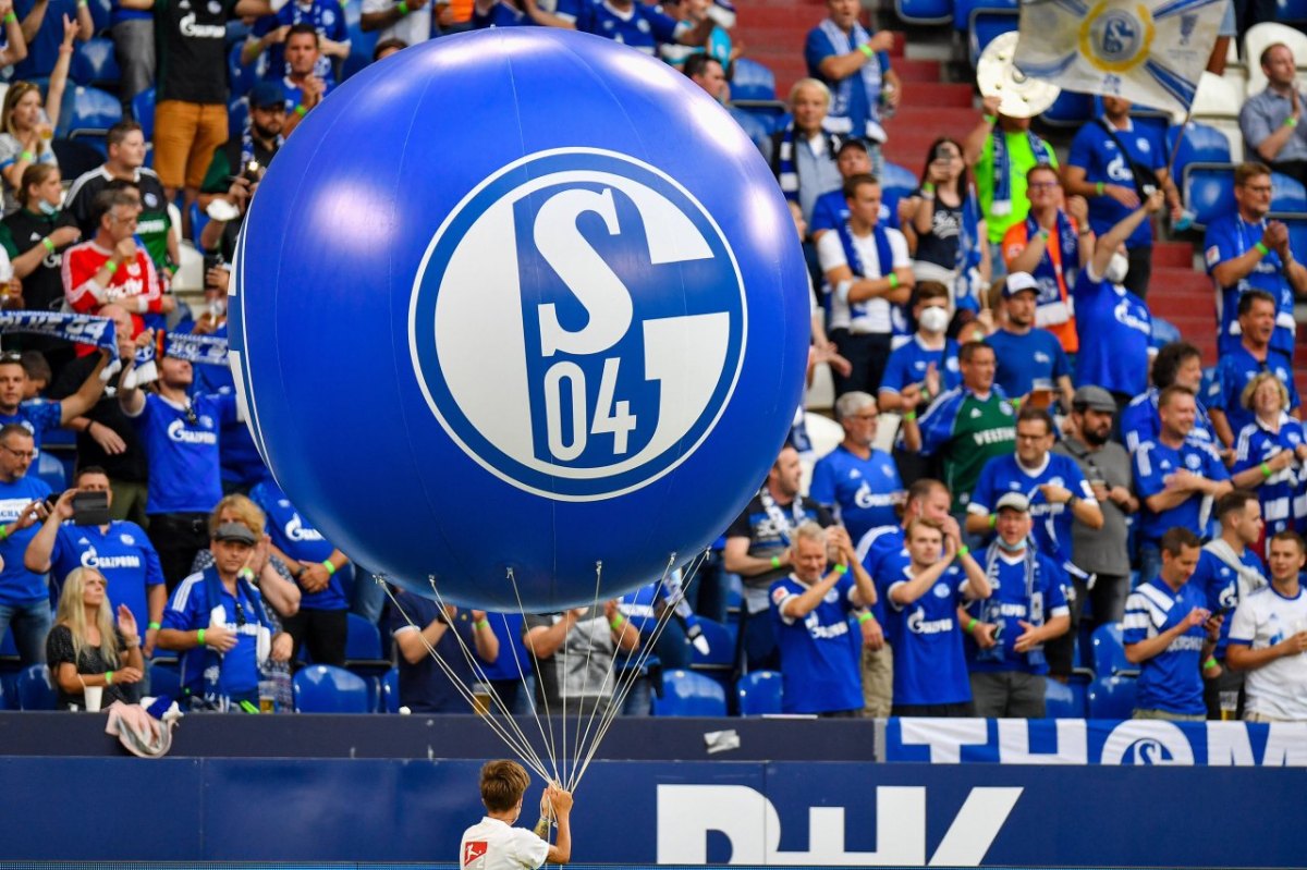 schalke-transfers