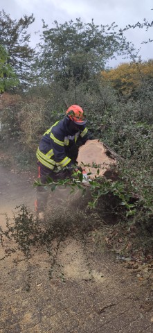 Die Feuerwehr Oberhaus ist wegen Sturmtief Ignatz im Einsatz. 