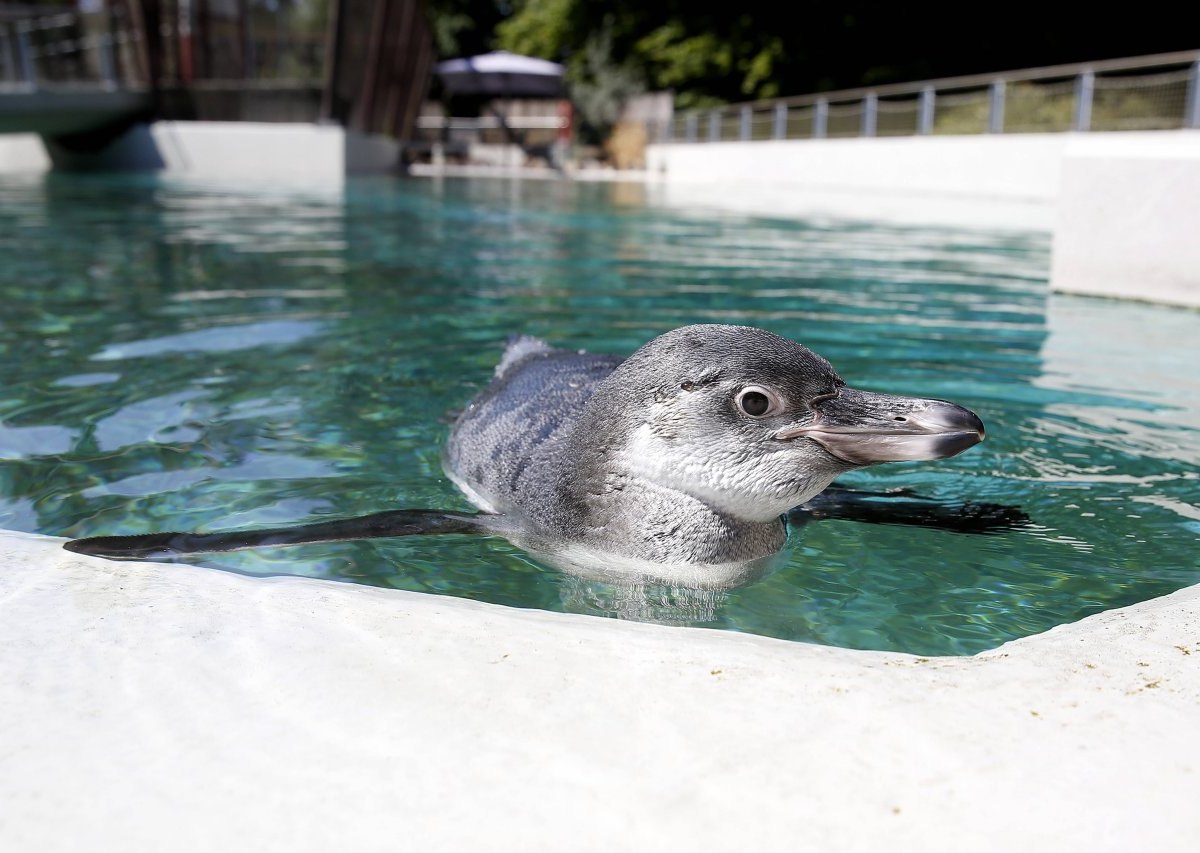 tierpark bochum 2.jpg