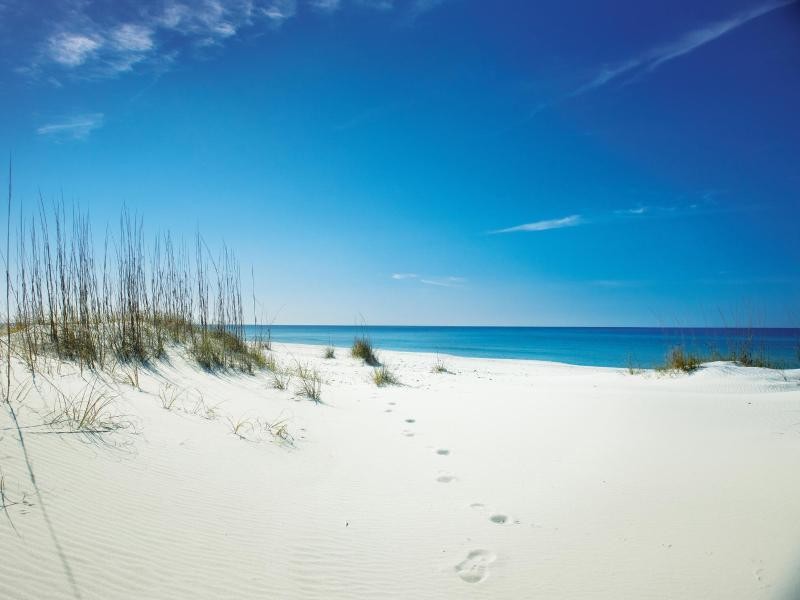 Diese Strände auf Shell Island laden zum Baden ein - natürlich kann der Urlauber in Panama City Beach auch ganz klassischen Entspannungsurlaub machen.