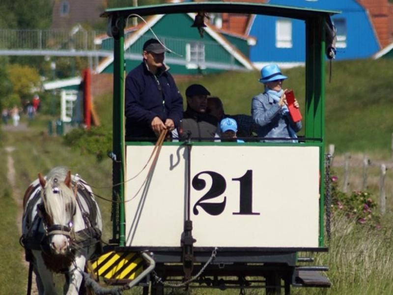 Mit einer Pferdestärke zum Westend: Auf Spiekeroog gibt es die einzige Eisenbahn in Deutschland, die von Pferden gezogen wird.