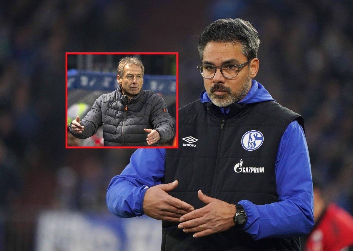 wagnerklinsmannfcschalke.jpg