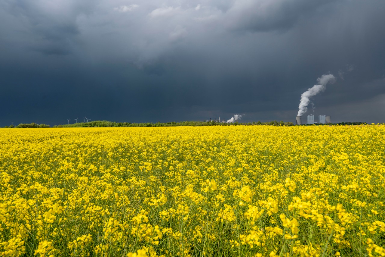 Über Pfingsten drohen Unwetter in NRW. (Archivbild)