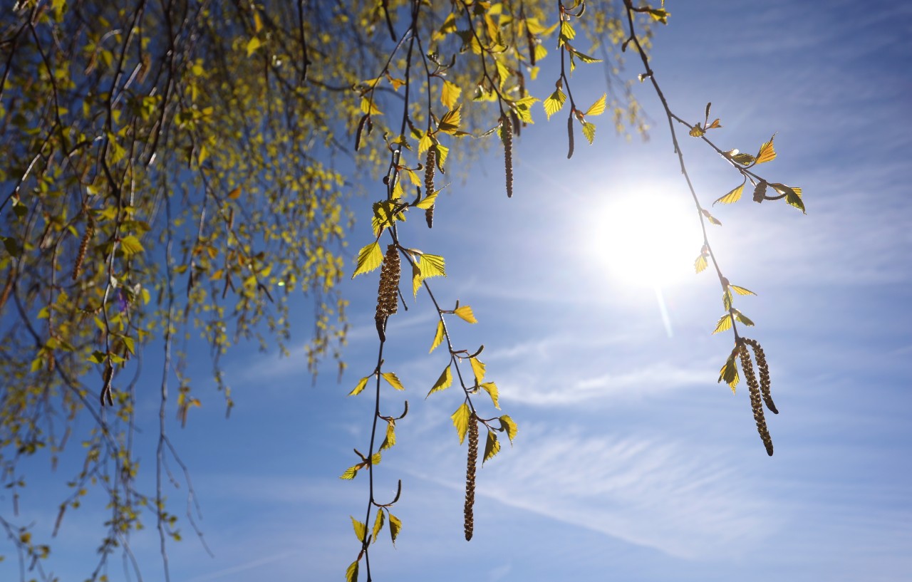 Wetter in NRW: Am Sonntag kam die Sonne raus – und wie! Doch bleibt das schöne Wetter bis in die nächste Woche? (Symbolbild)