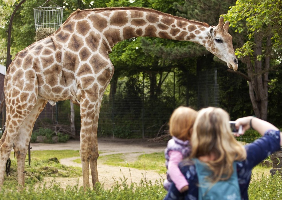 zoo dortmund.jpg