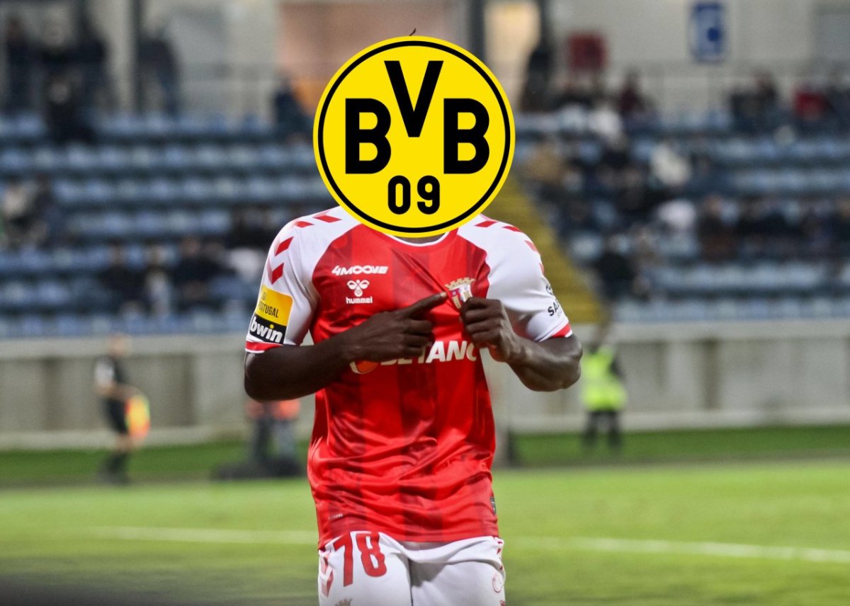 BVB Roger Fernandes.jpg