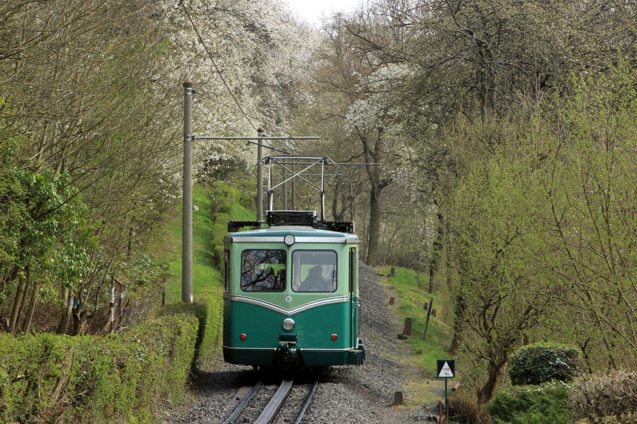 Die Drachenfelsbahn Königswinter verkehrt seit knapp 140 Jahren.