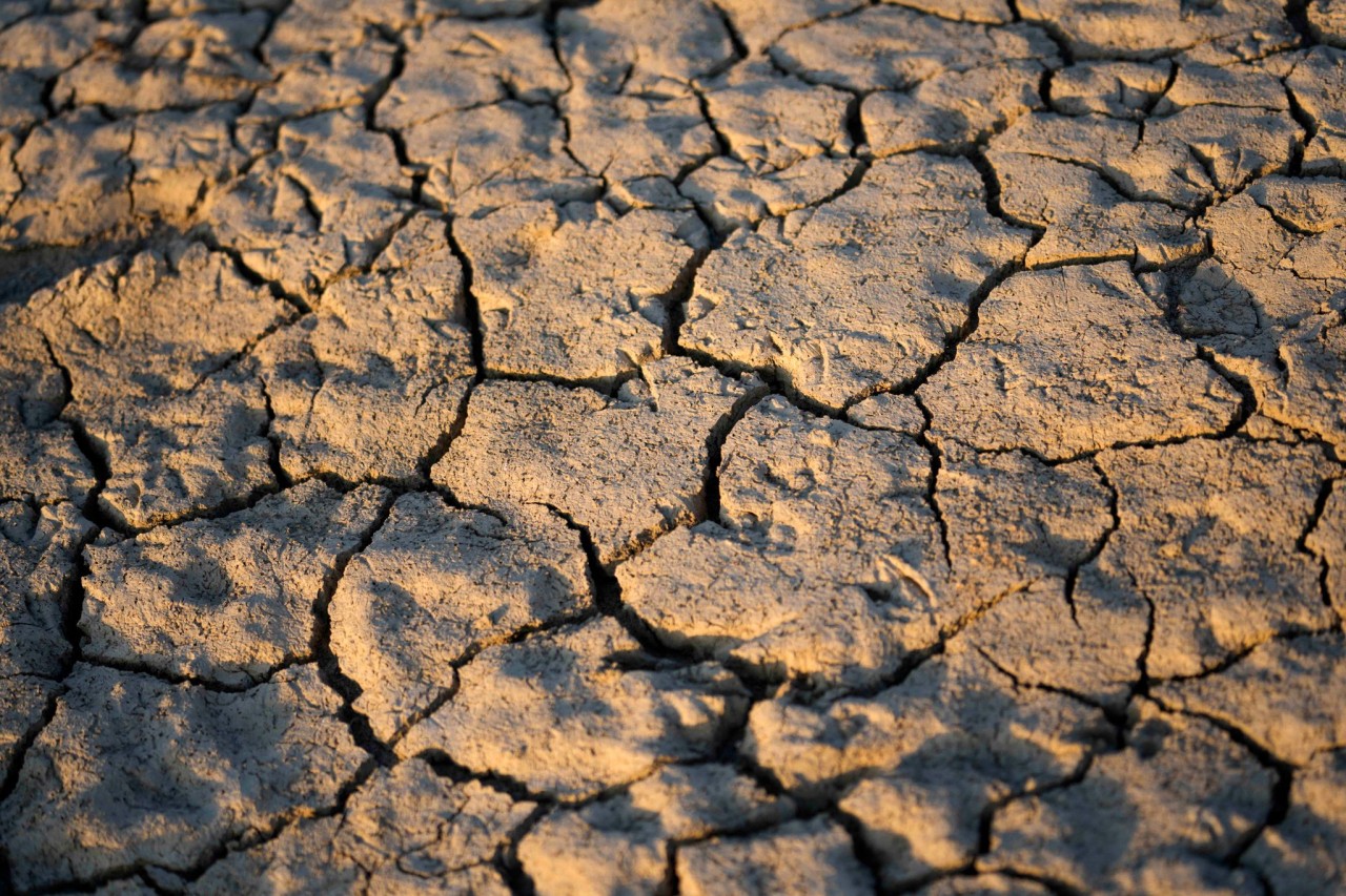 Risse im sind im Erdreich eines Flussbettes zu sehen. Das Austrocknen des Flusses gefährdet die Bewässerung bewirtschafteter Felder und Äcker.