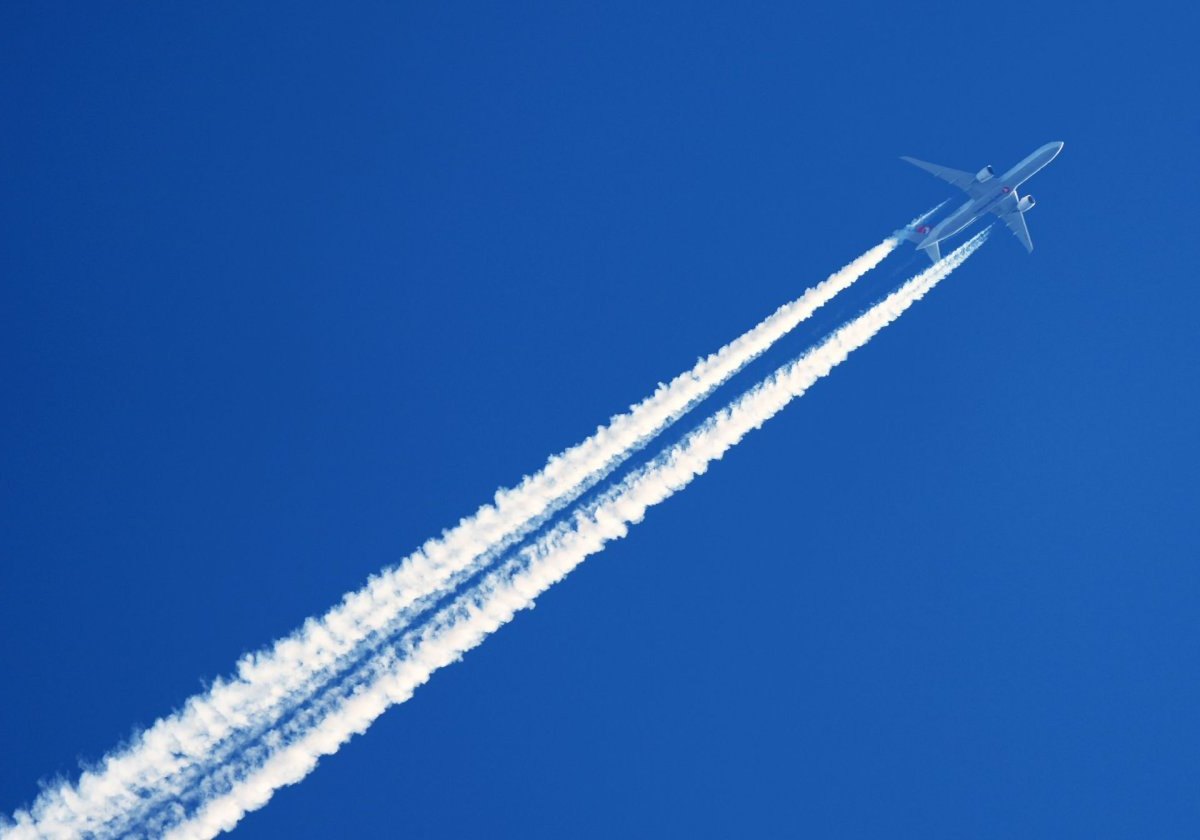 Fliegen