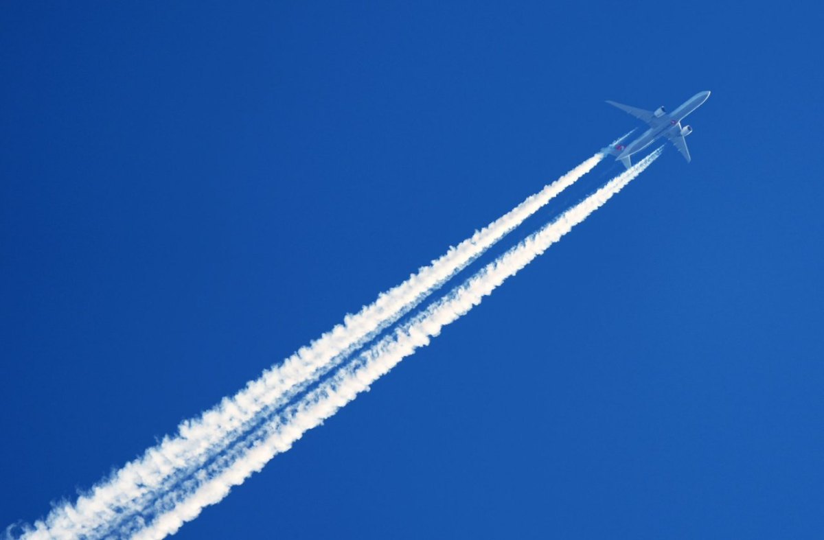 Fliegen