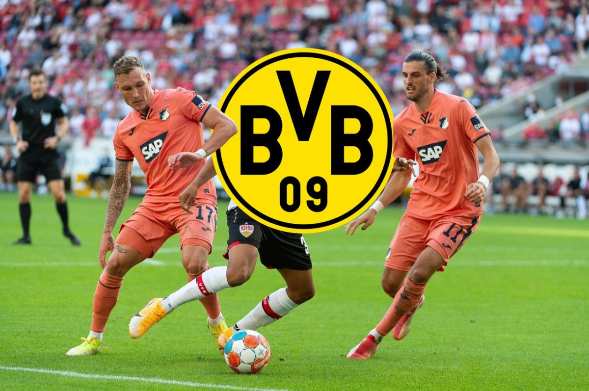 borussia-dortmund-grillitsch.jpg