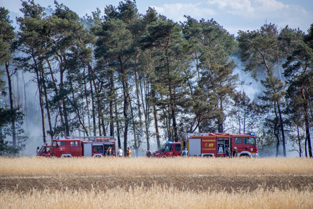 Extremhitze, Trockenheit und Wind: Die größten Gefahren im Sommer.