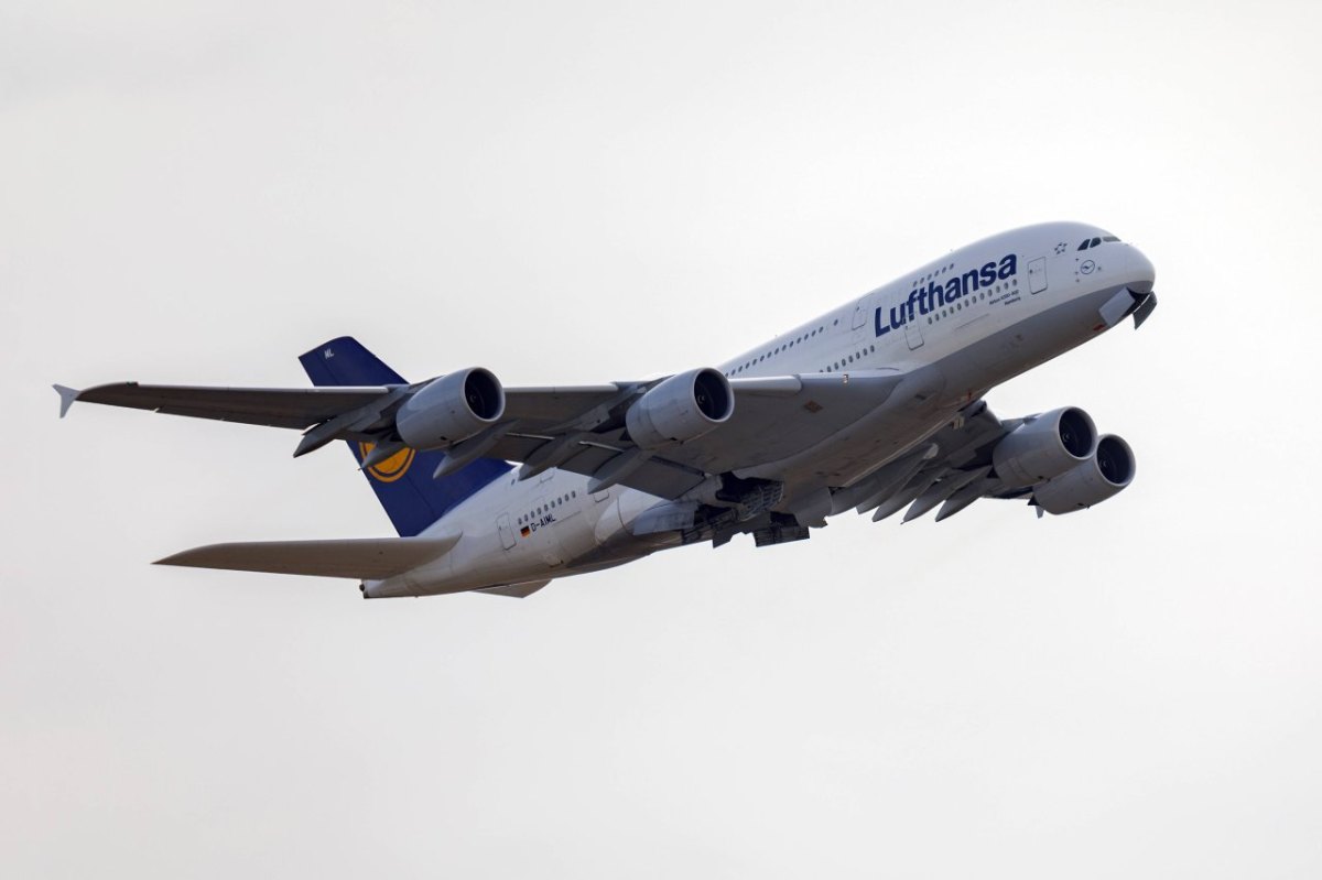 lufthansa-reise-chaos.jpg