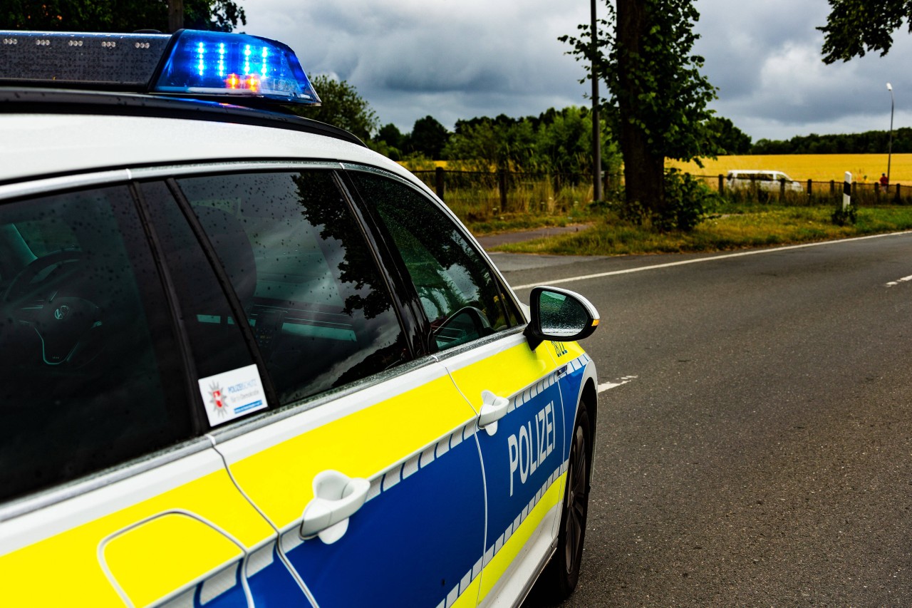 Fast 900 Tiere starben in Hünxe in NRW einen qualvollen Tod. (Symbolbild)