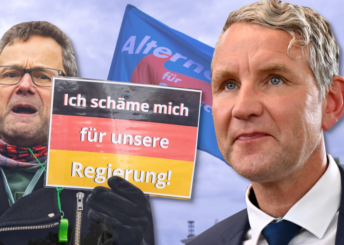 AfD HÃ¶cke AfD