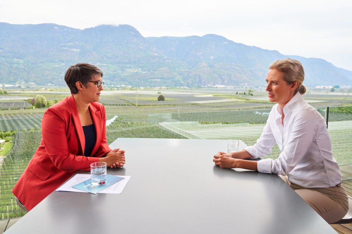 Alice Weidel Afd Sommerinterview