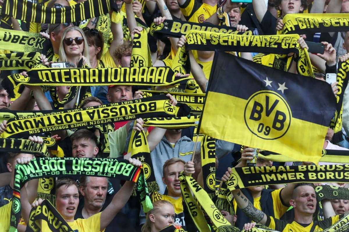 BVB Borussia Dortmund