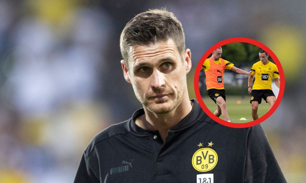 BVB Fink.jpg