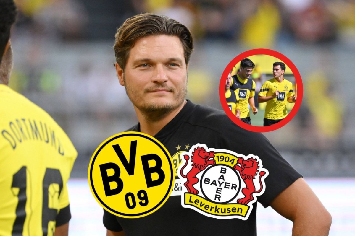 BVB Leverkusen.jpg