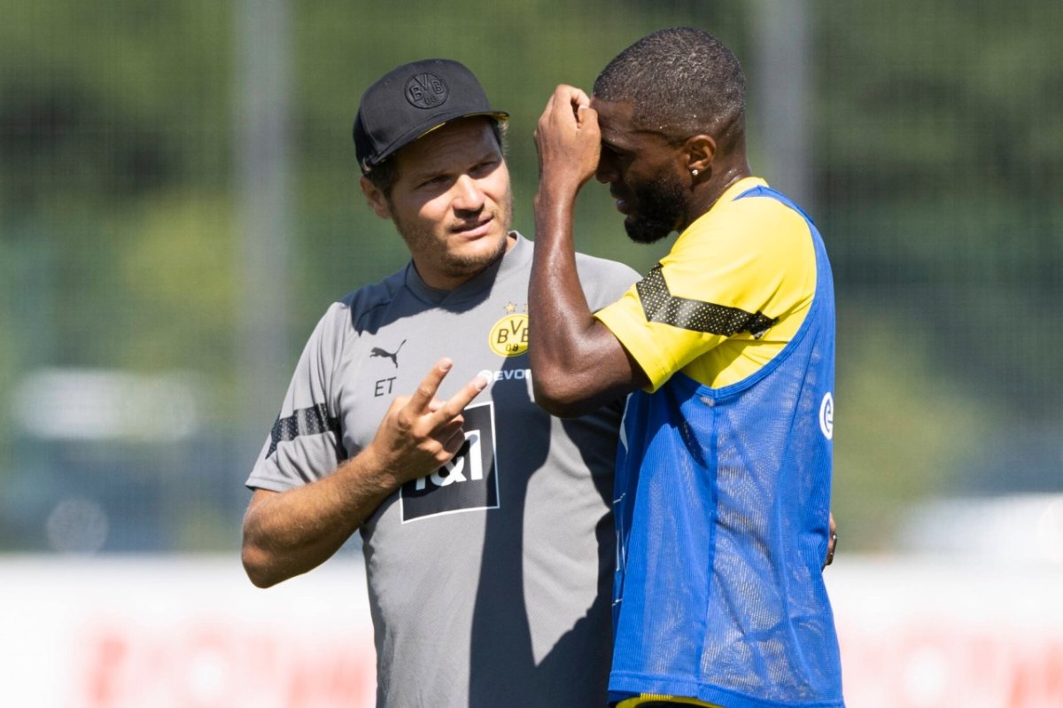 BVB Modeste