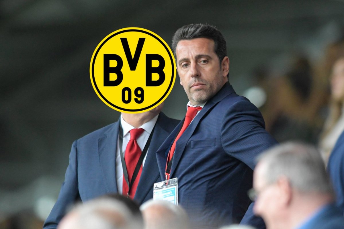 Borussia Dortmund Edu.jpg