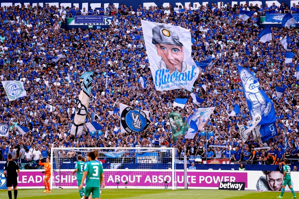 FC Schalke 04.jpg