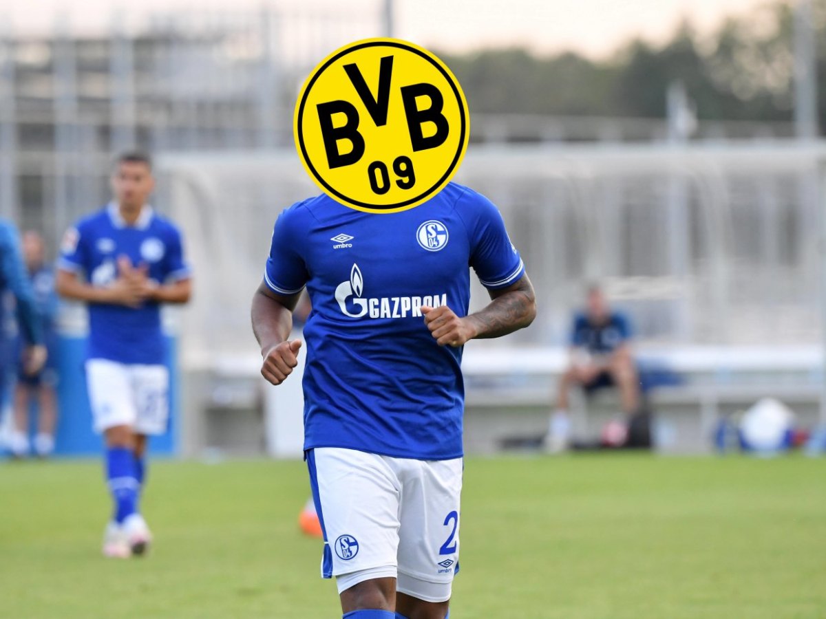 FC Schalke 04 McKennie BVB.jpg