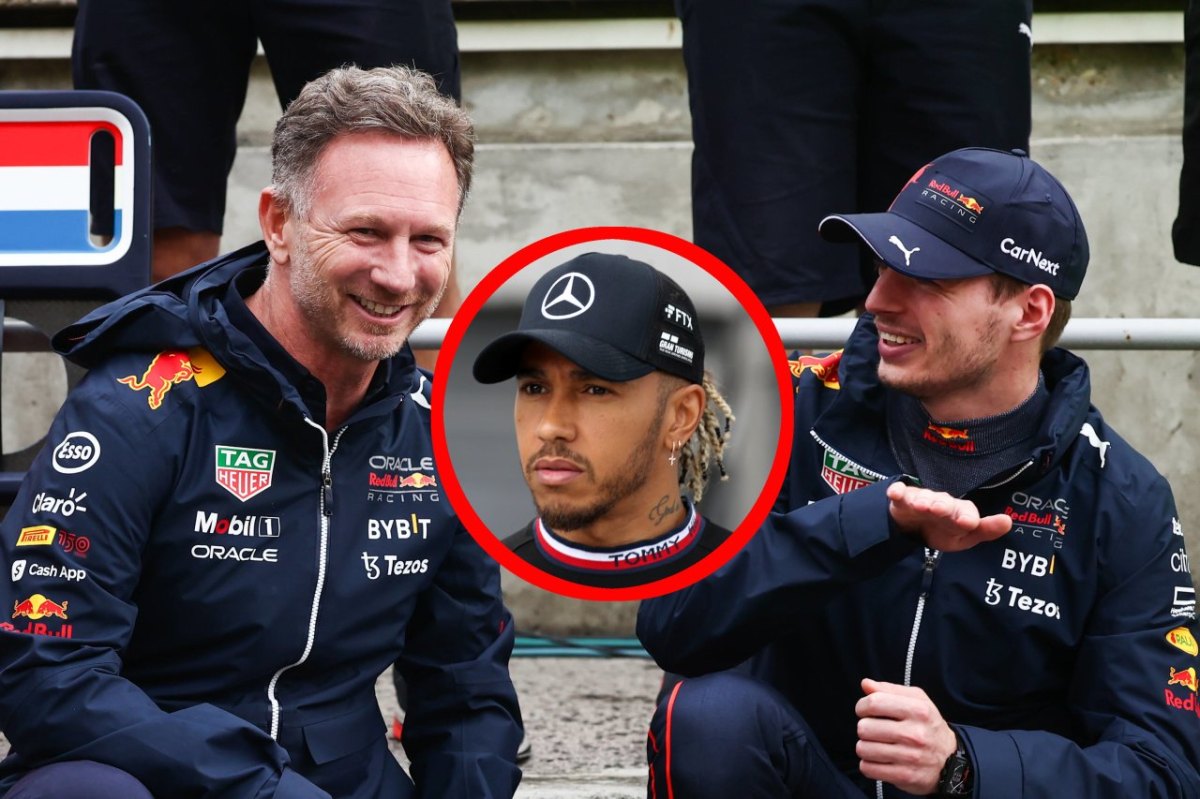 Formel 1 Lewis hamilton Red Bull.jpg