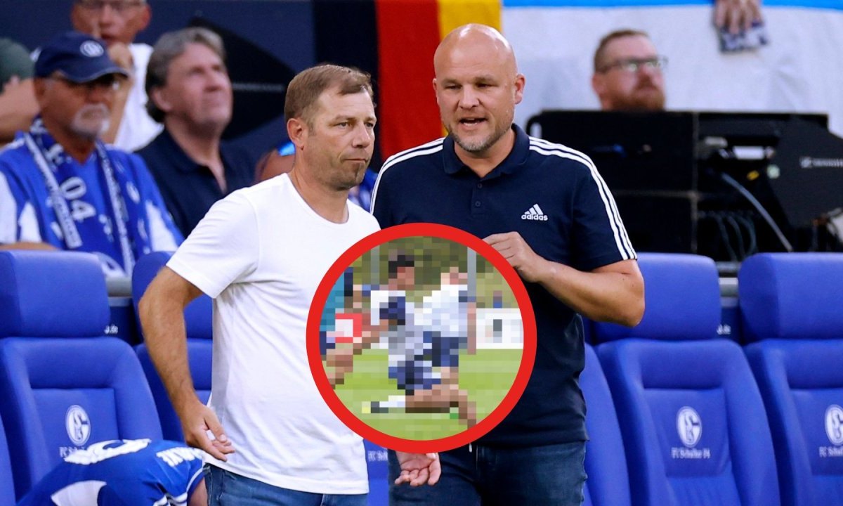 Schalke Greiml.jpg