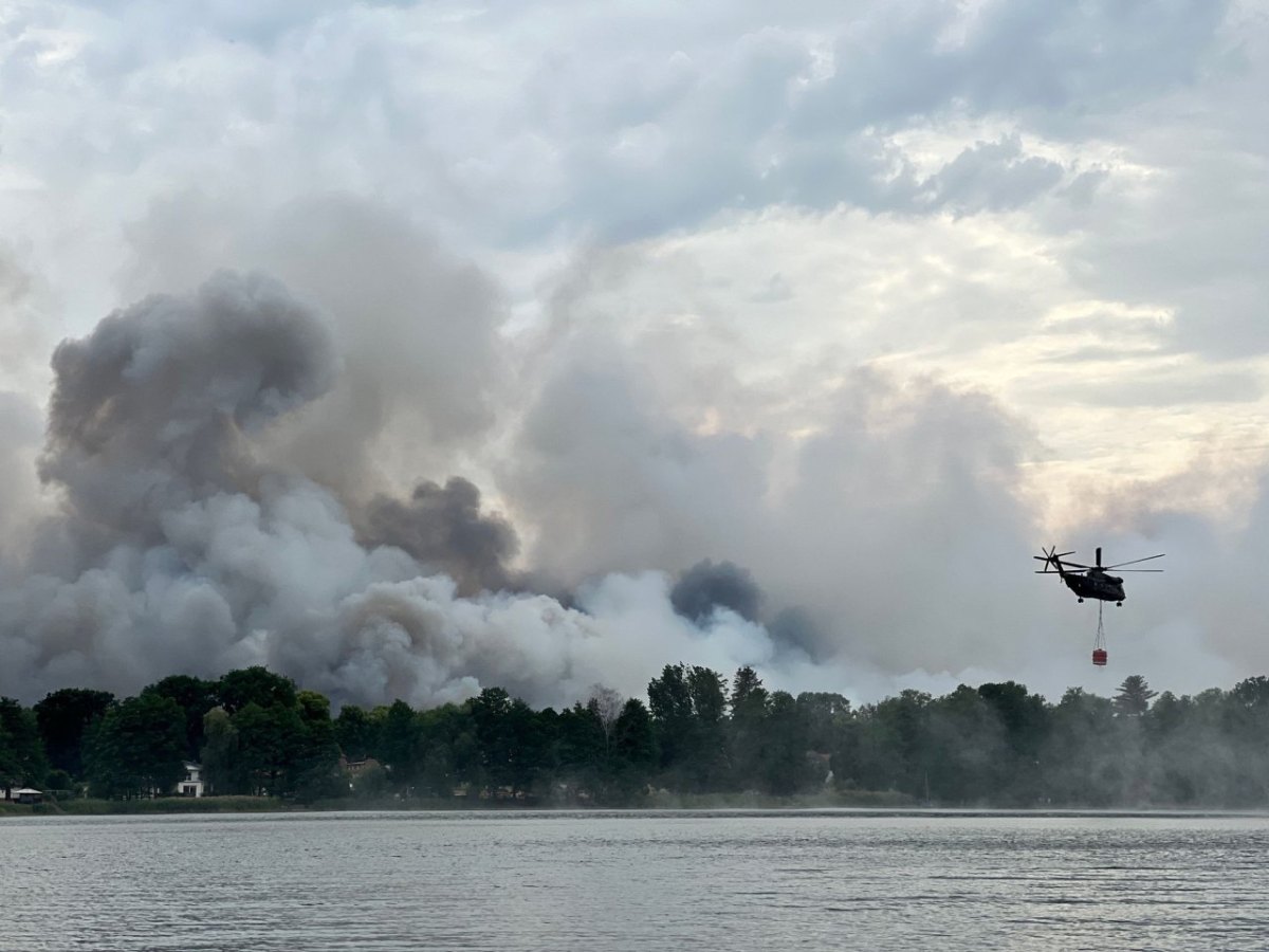Trockenheit: Was tun bei Waldbrandgefahr?