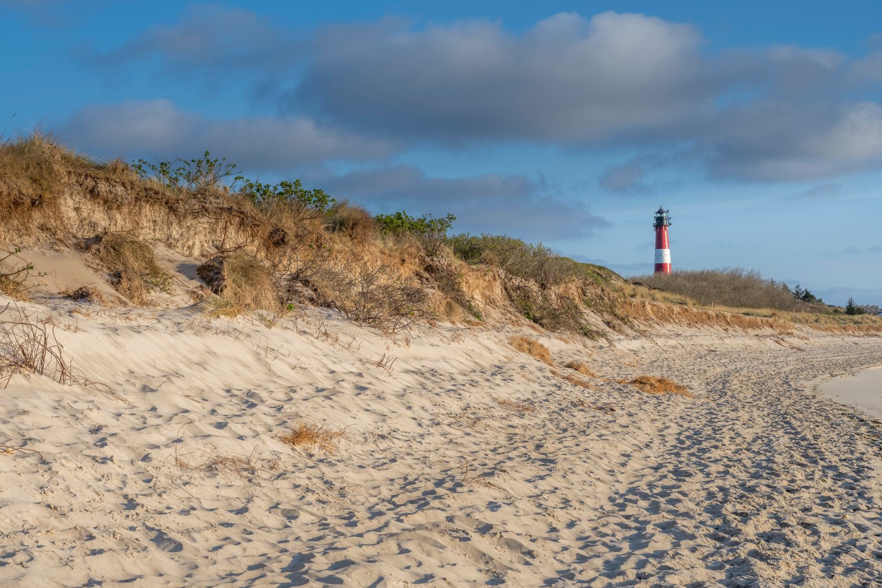 Viele Touristen wollen in Sylt einen entspannten Urlaub an der Nordsee verbringen. Doch Aktivisten, die es seit der Einführung des 9-Euro-Tickets auf die Insel zieht, haben sie stark zum Negativen verändert. (Symbolbild)