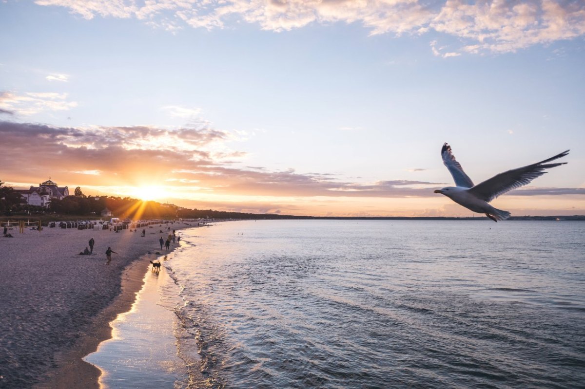 Urlaub an der Ostsee-Preise.jpg