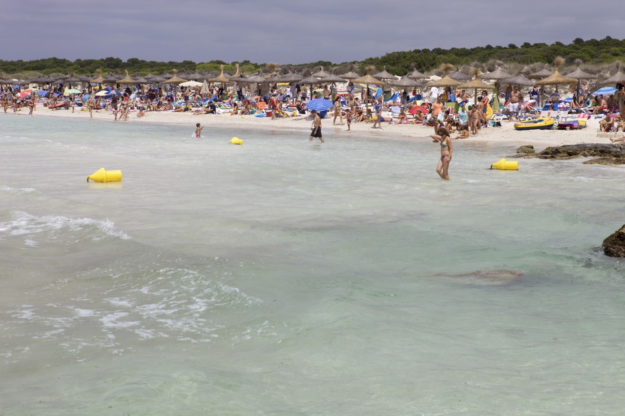 Beim Urlaub auf Mallorca erwartet die Gäste am Strand eine böse Überraschung. (Symbolbild) 