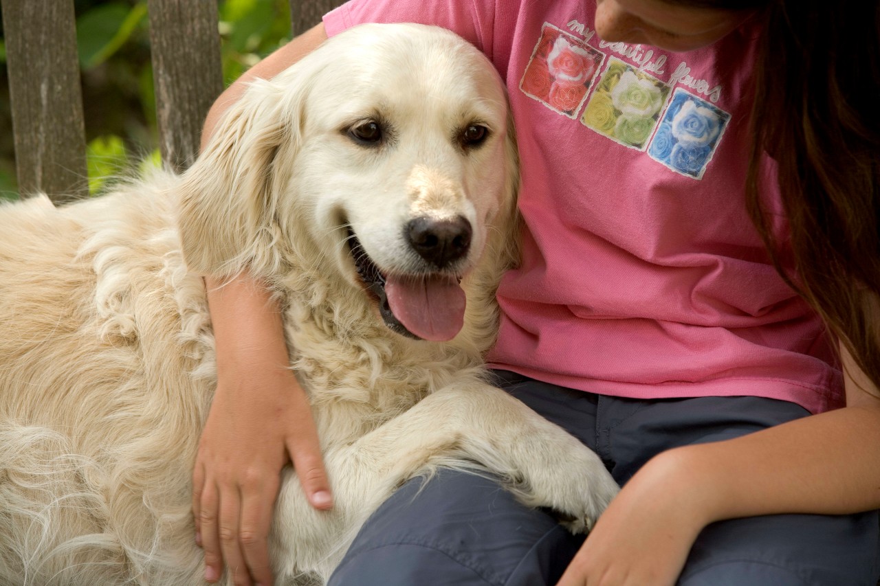 Wenn du DAS mit deinem Hund machst, hat er dich ganz doll lieb. (Symbolbild)