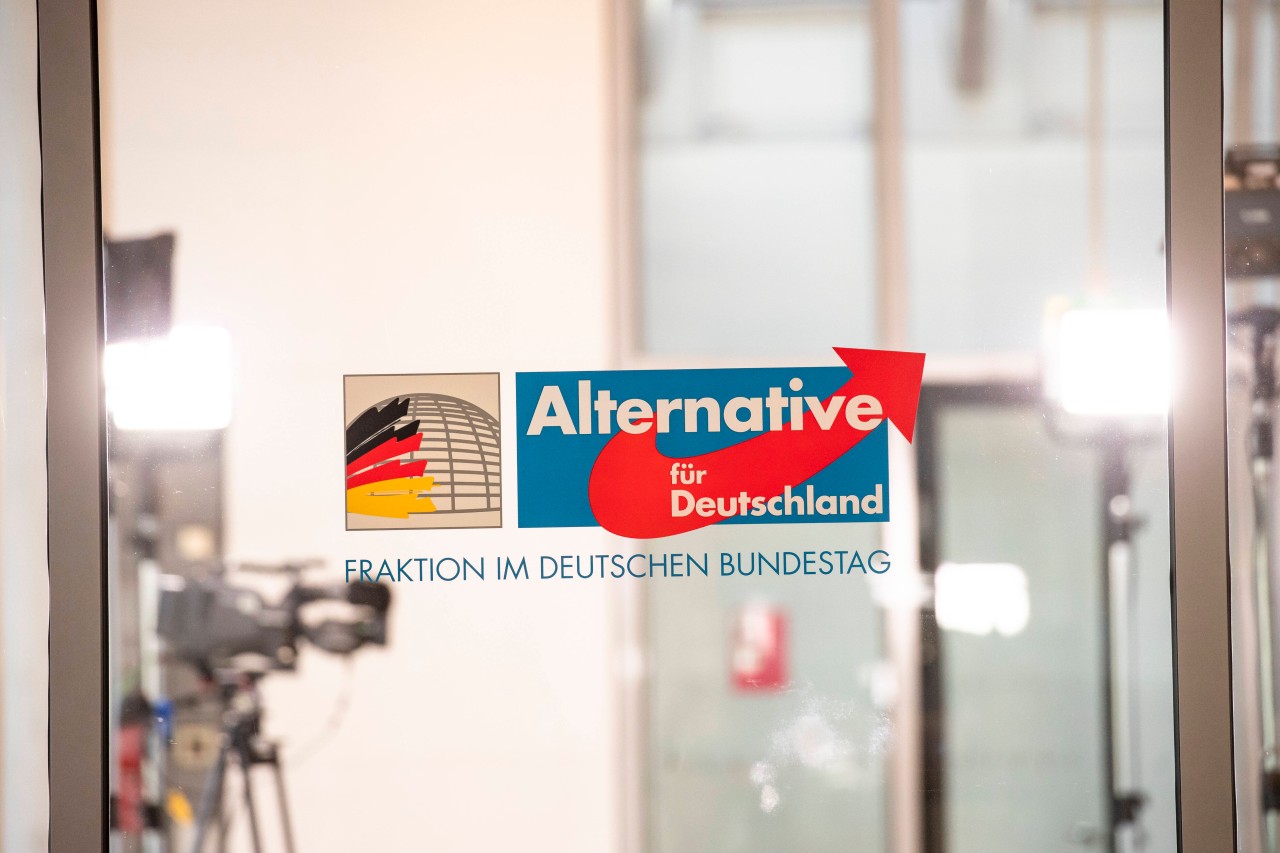 Äußerungen von AfD-Parteimitgliedern sorgen aktuell für viel Kritik. 