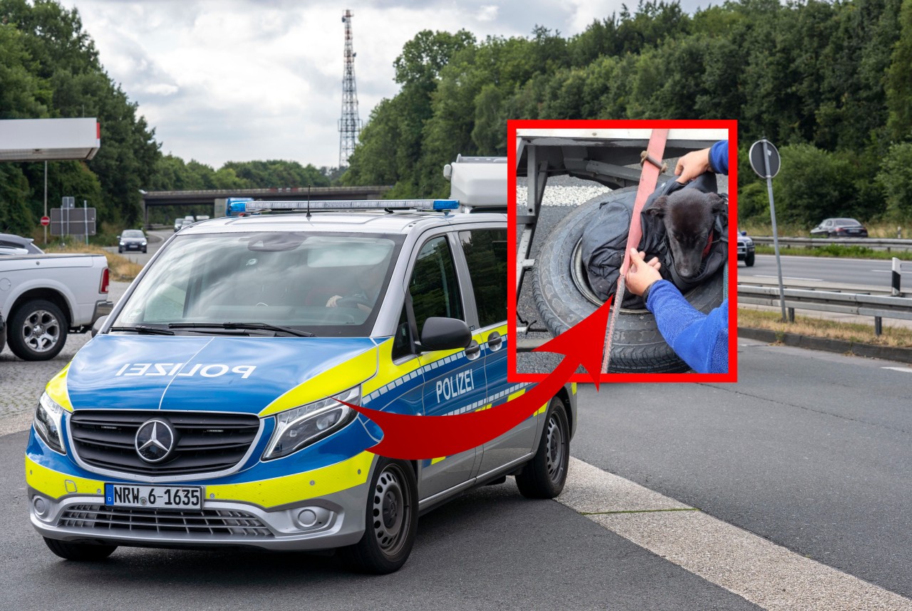 Die Polizei fand einen Baby-Hund in einem Auto. Unfassbar, wie er transportiert wurde.