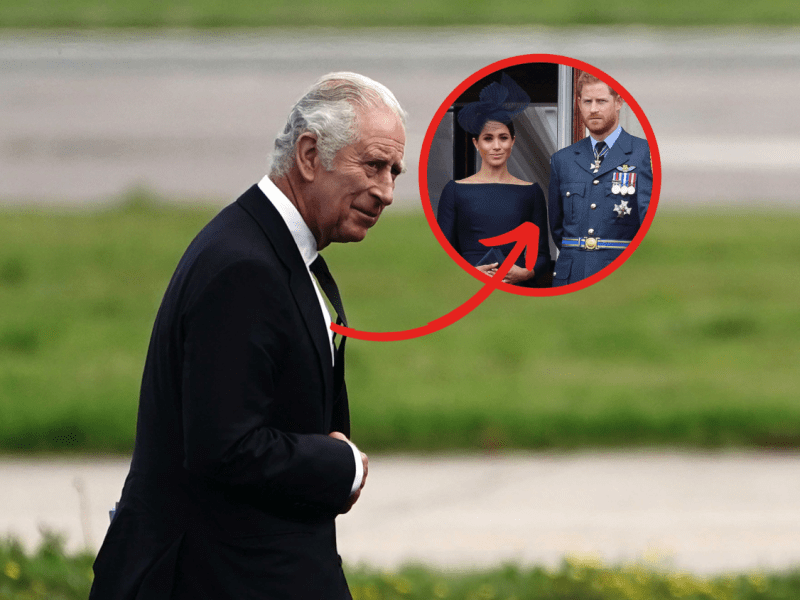 König-Charles-Meghan-Markle-Prinz-Harry.png