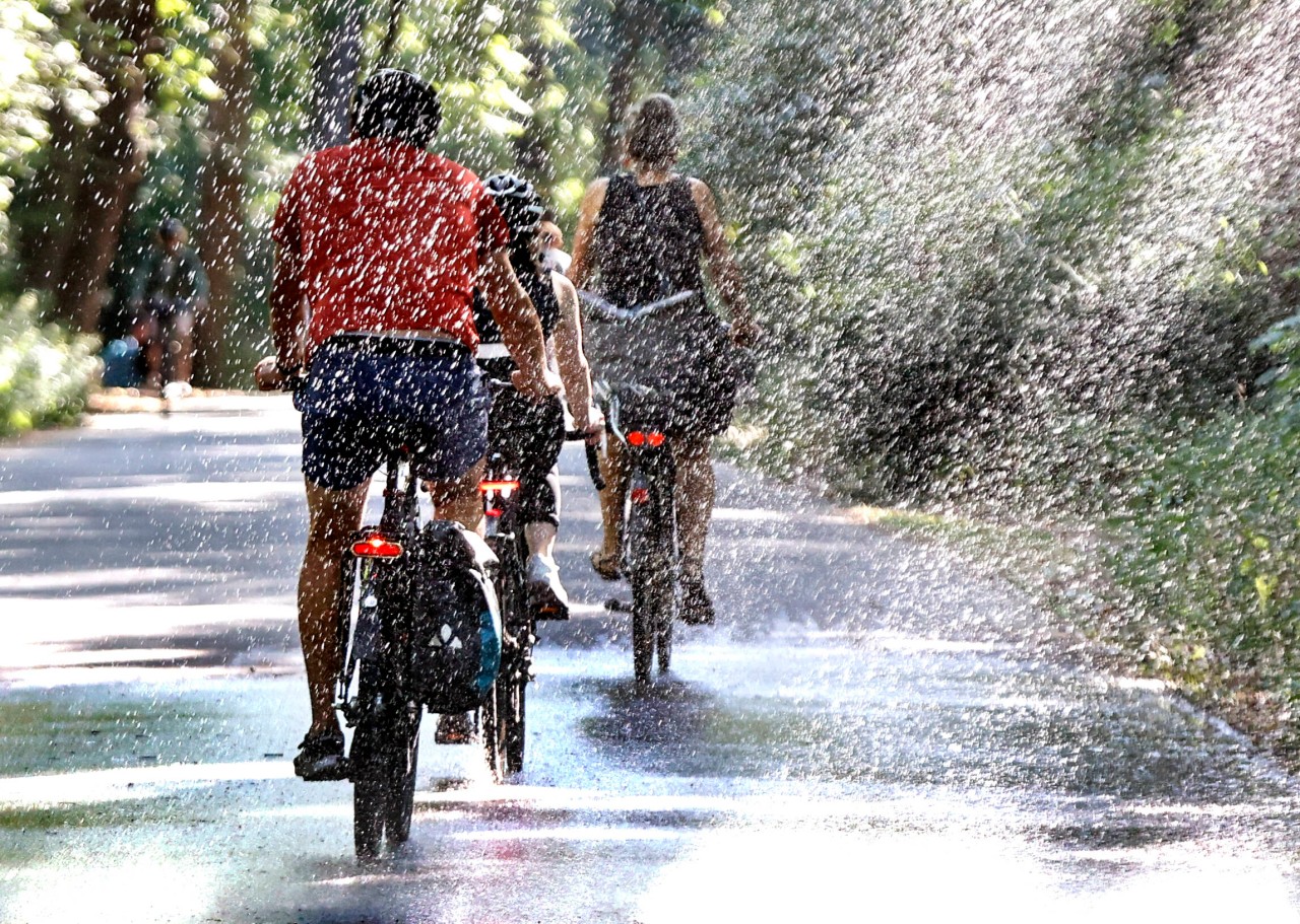 Ein Radfahrer ist bei einem Unfall in NRW ums Leben gekommen. (Symbolbild)