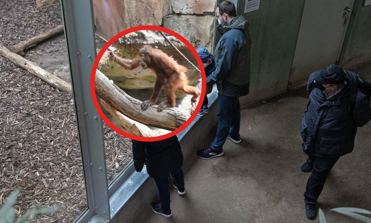 Zoo Frankfurt.jpg