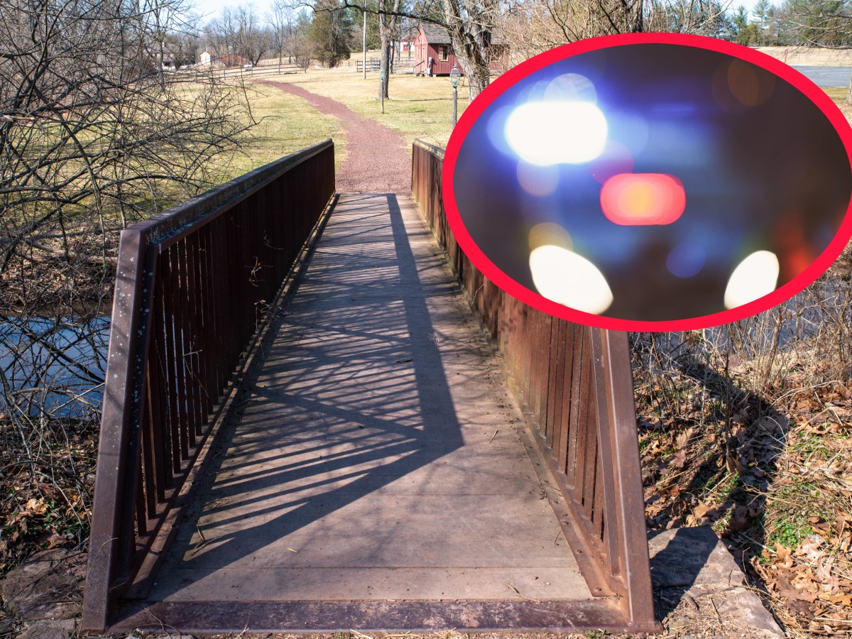 Collage: Eine Brücke führt in einen Park - die Lichter eines Polizeiautos leuchten im Dunkeln.