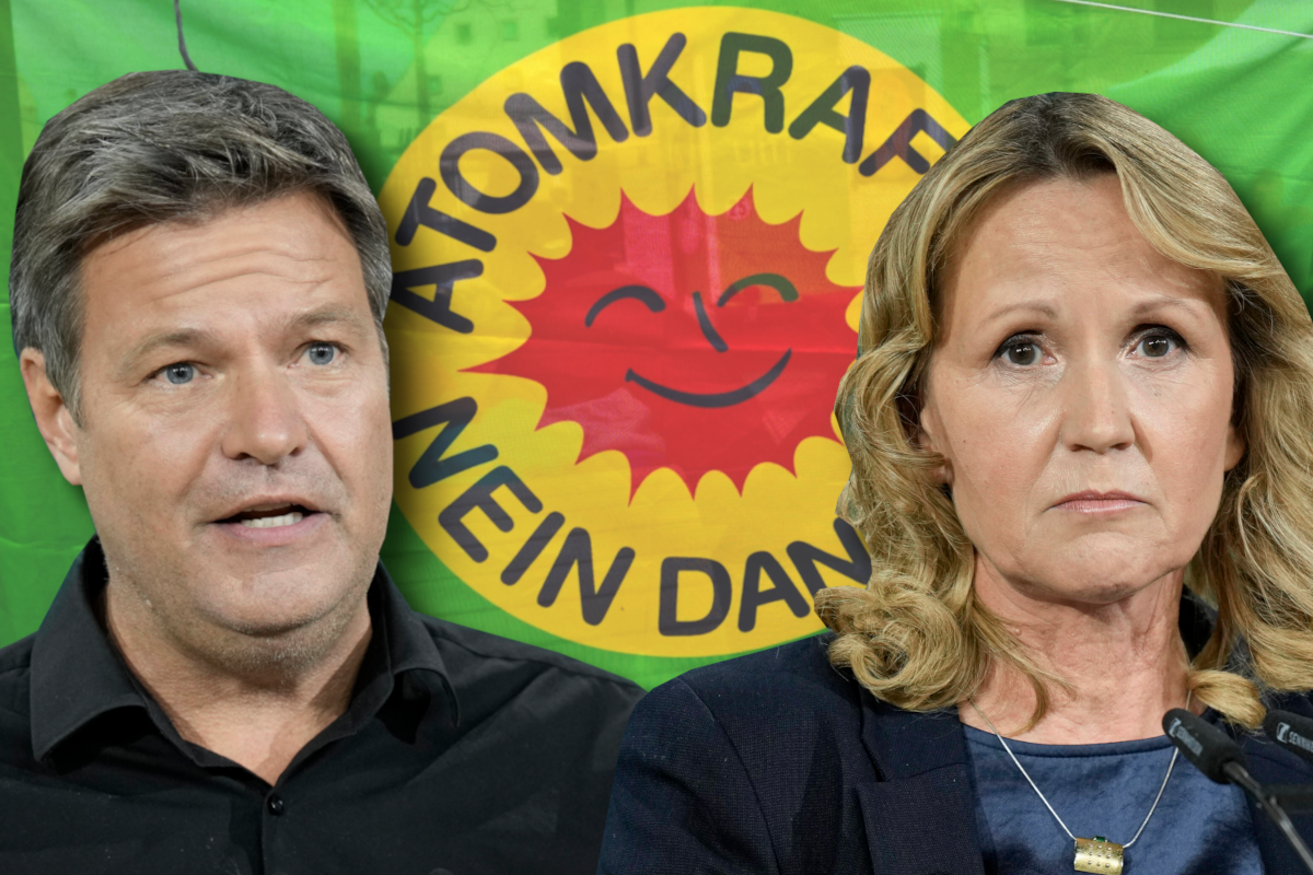 GrÃ¼ne und AKW