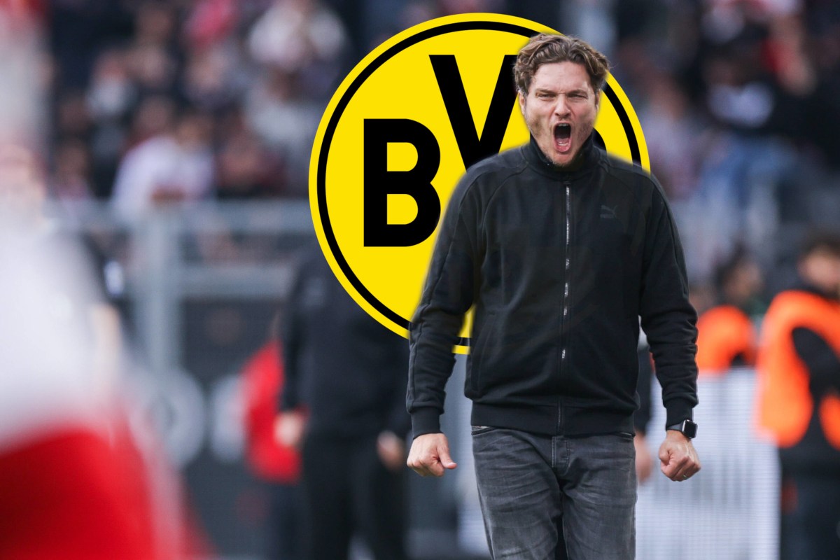 Borussia Dortmund Terzic