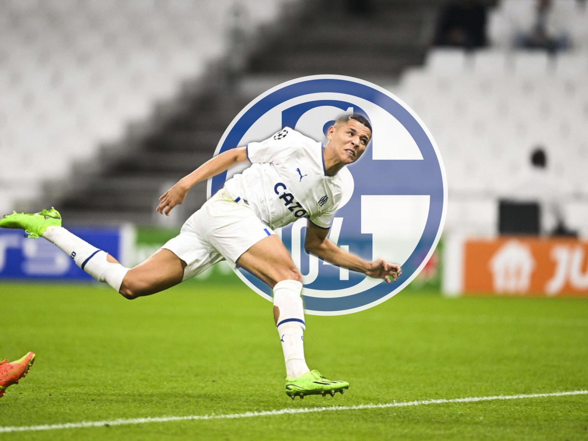 FC Schalke 04 Harit