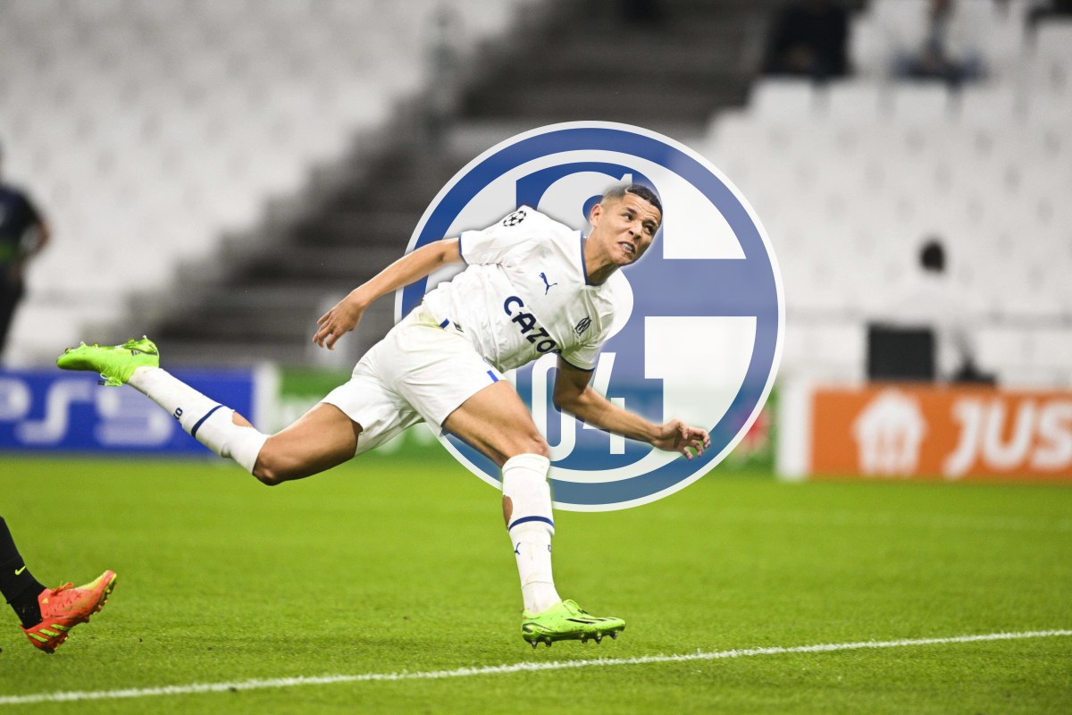 FC Schalke 04 Harit