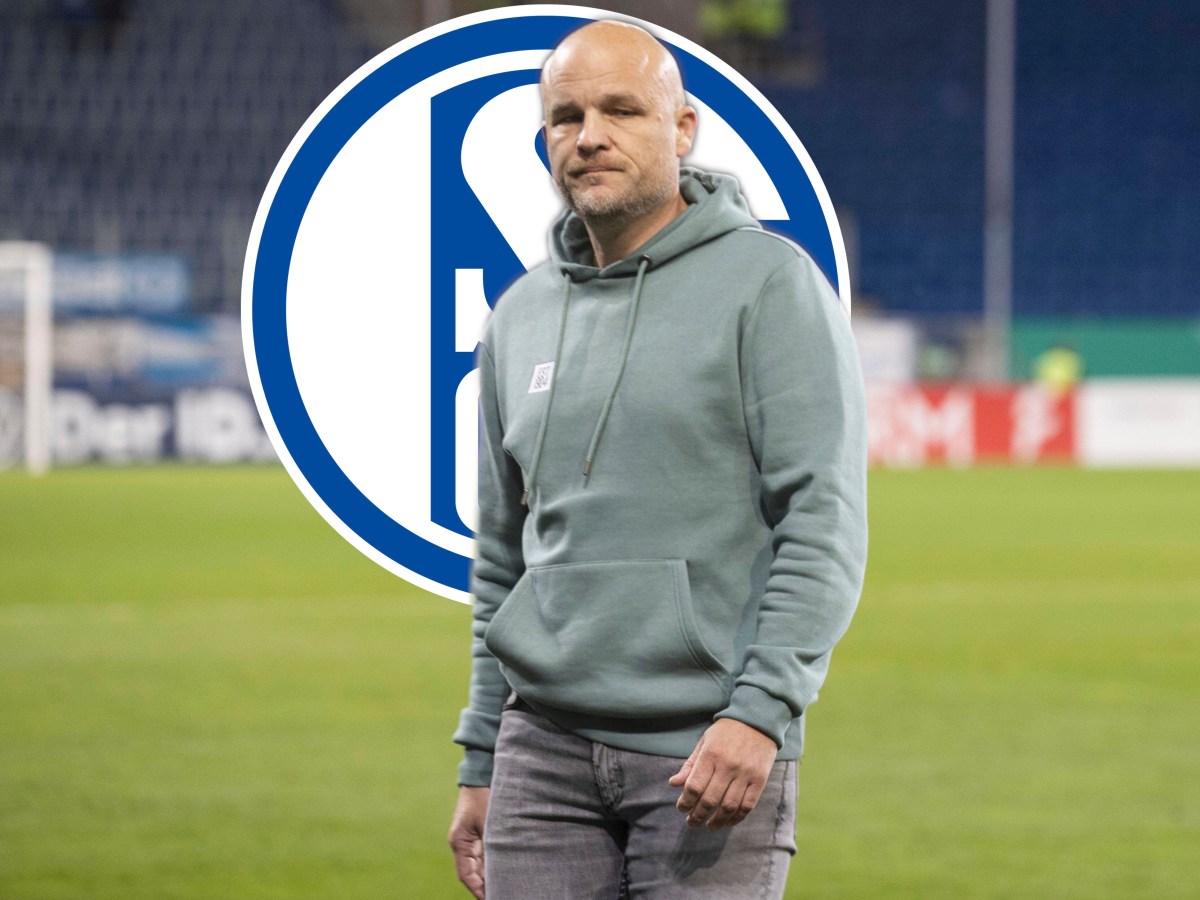 FC Schalke 04 Trainer