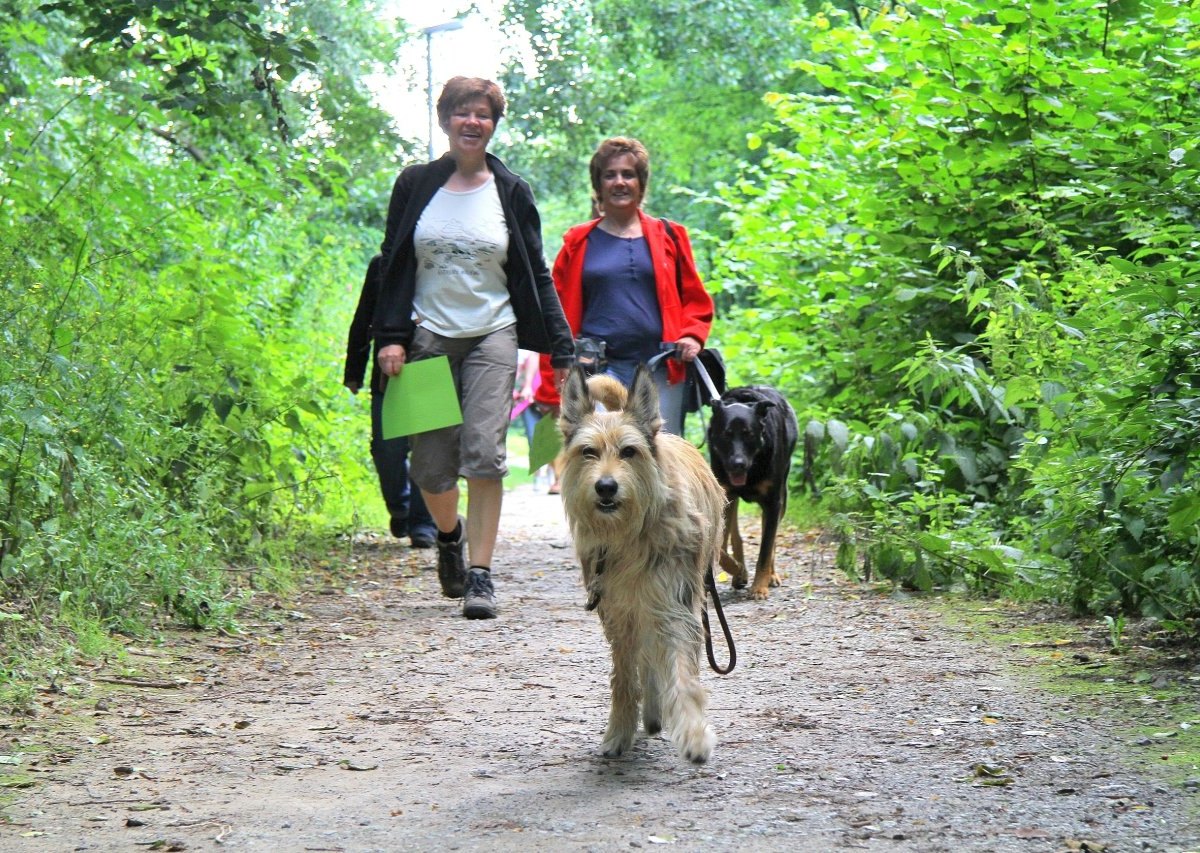 Gaudi Rallye in der Hundeschule.jpg