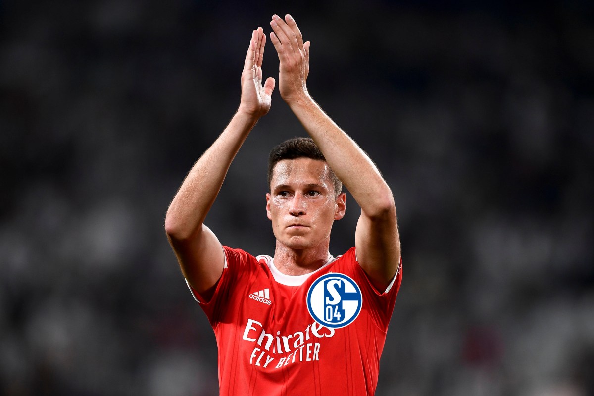 FC Schalke 04 Julian Draxler