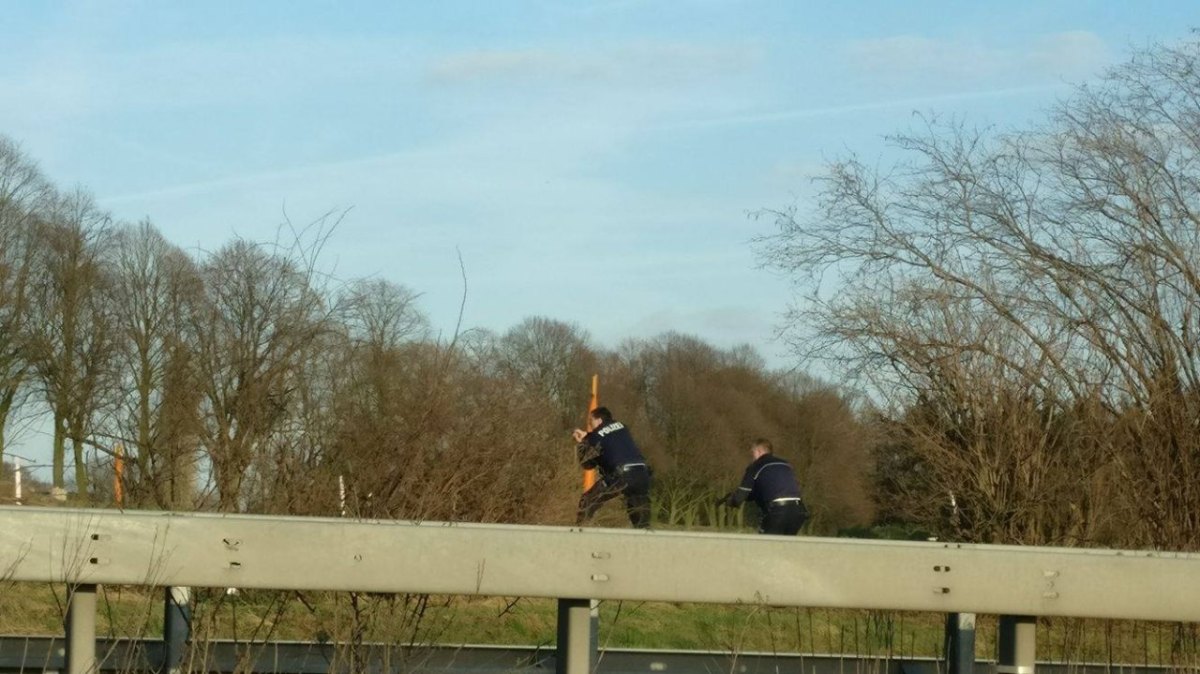 Polizei SEK A52 Gelsenkirchen Hassel Dorsten.jpg